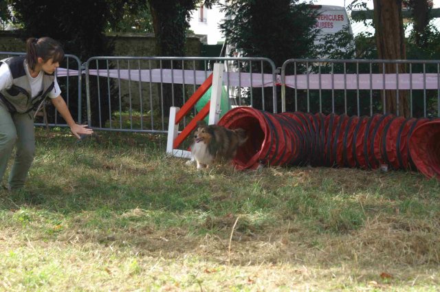 foire-haricots 2011-09-17et18